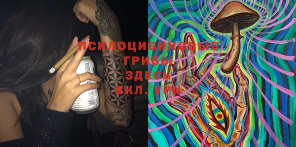 скорость Богданович